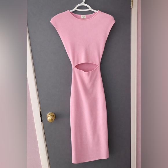 Wilfred Dresses & Skirts - Wilfred Pink Cutout Bodycon Midi Dress